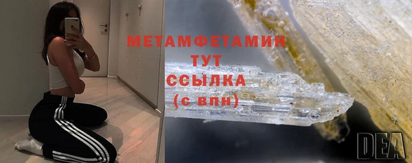 дживик Няндома